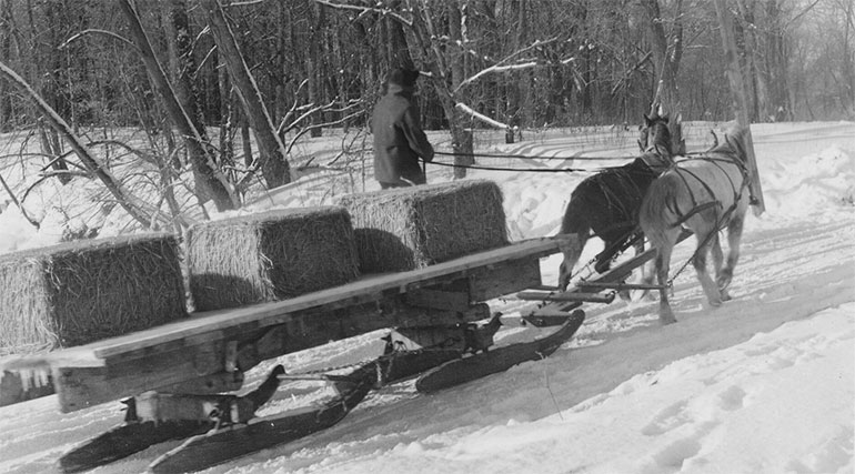 horse-drawn trucking sled